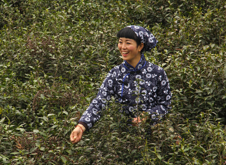 直播